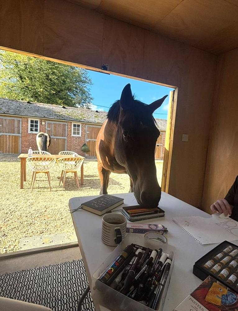 A horse looking in through an open window into a room on the yard.