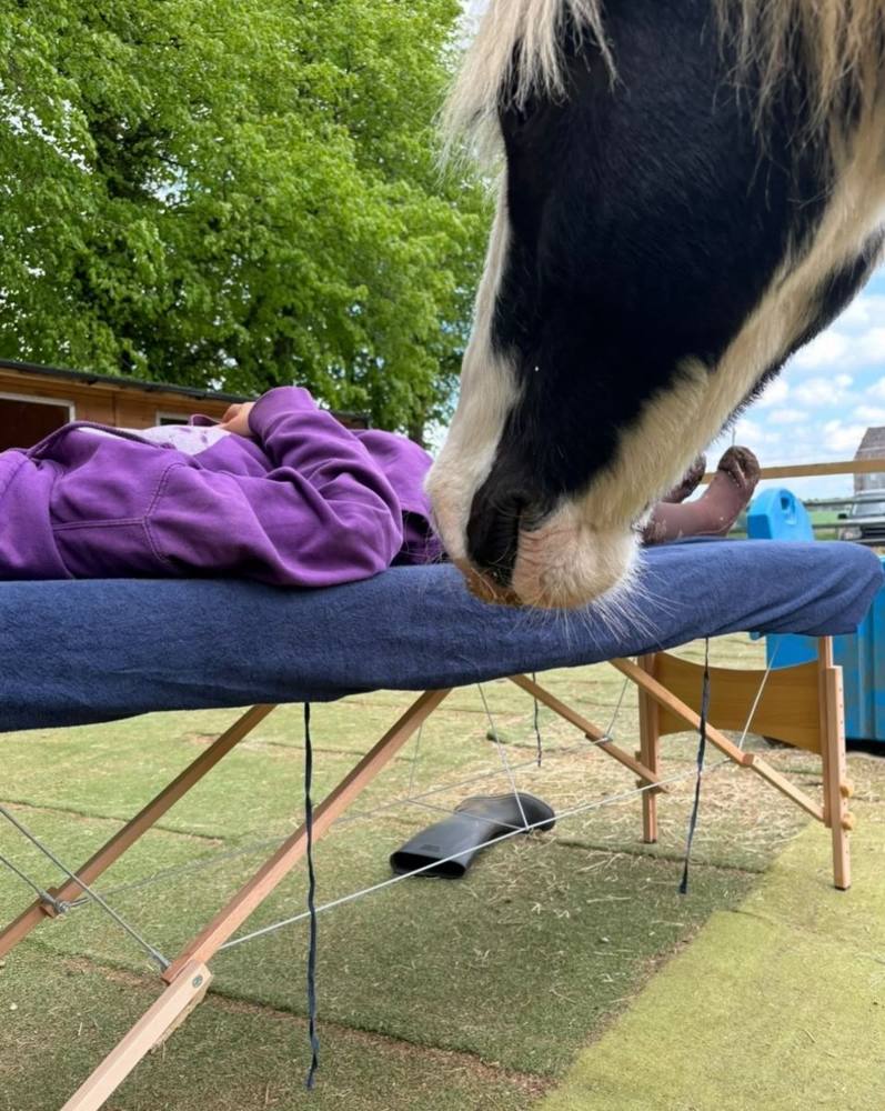 A curious horse leaning over to sniff a client lying on a treatment table.