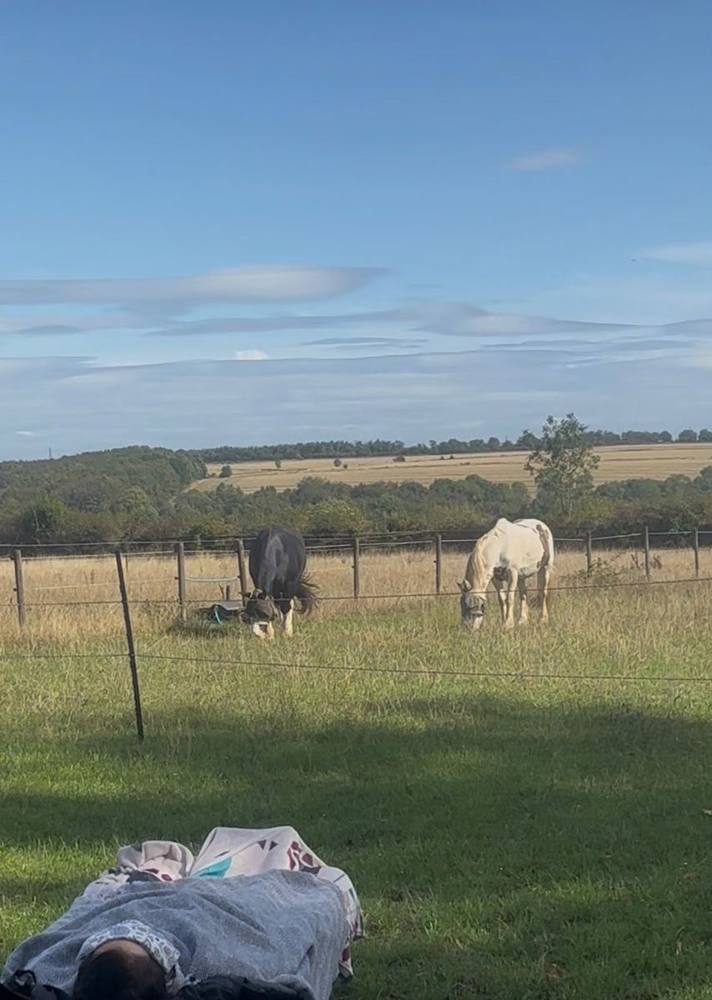 Someone lying on a blanket in the grass, watching two horses graze in the field.