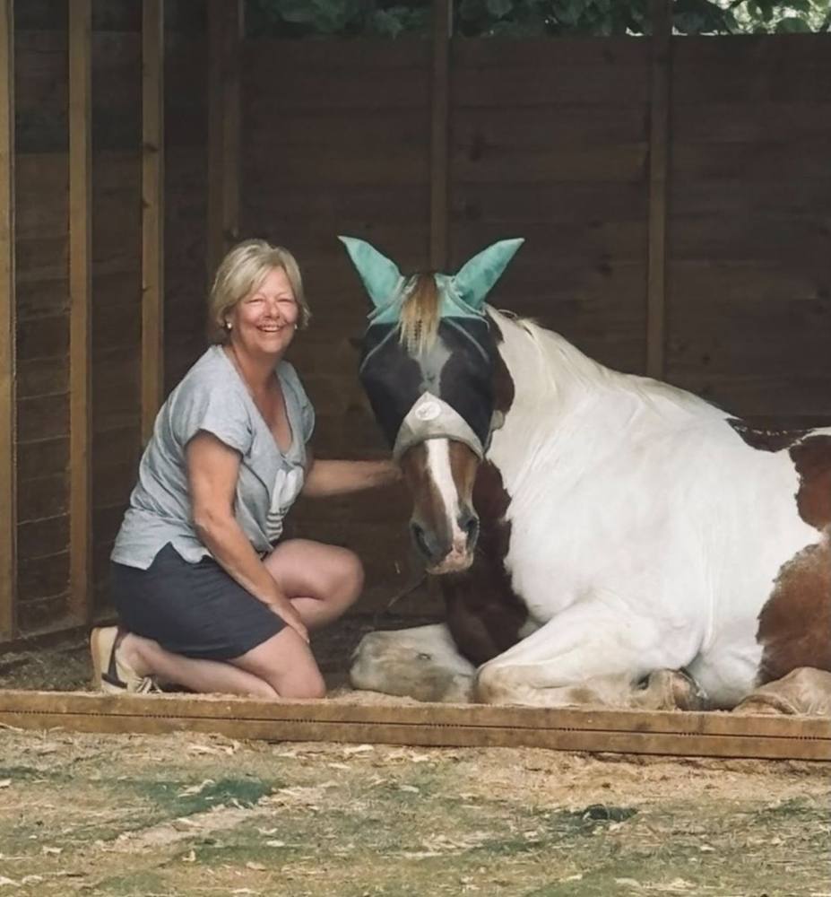 A woman sitting beside a skewbald horse who is lying down in the shade.