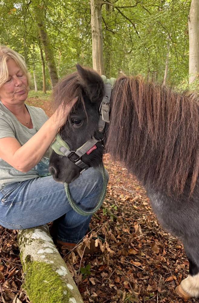 A woman gently stroking a dark pony in the woods.