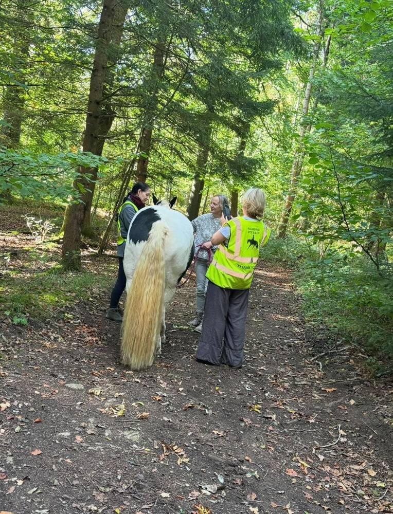 A small group walking a skewbald horse through the woods.